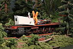 1116SHE57404.JPG