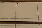 1116SHE57529.JPG