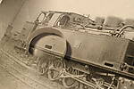 SHE570960.JPG