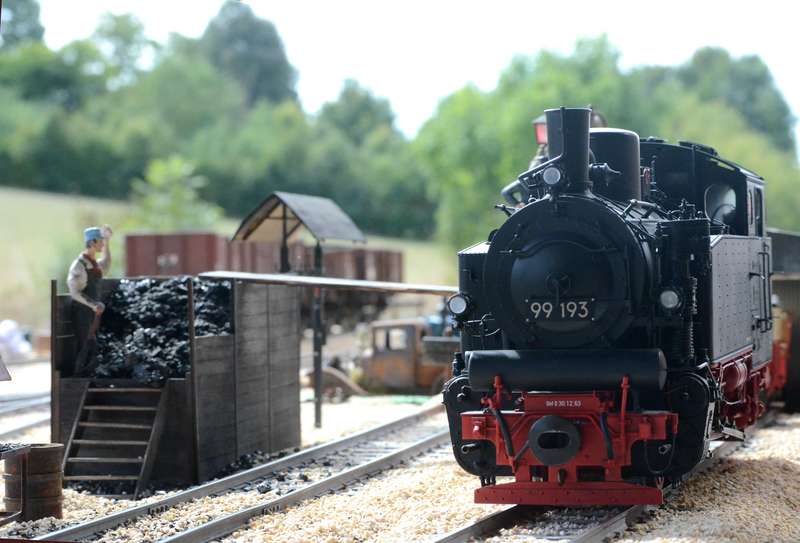DSC_9841