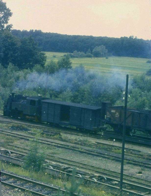 Pim0039