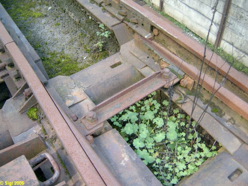 Schinznach_Tonbahn_230