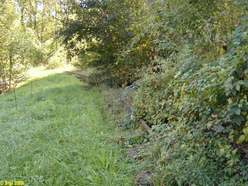 Schinznach_Tonbahn_239