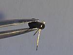 6790stramm_ziehen.jpg