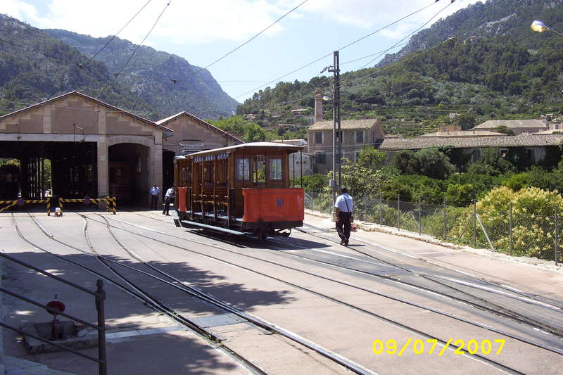 DCP_9941