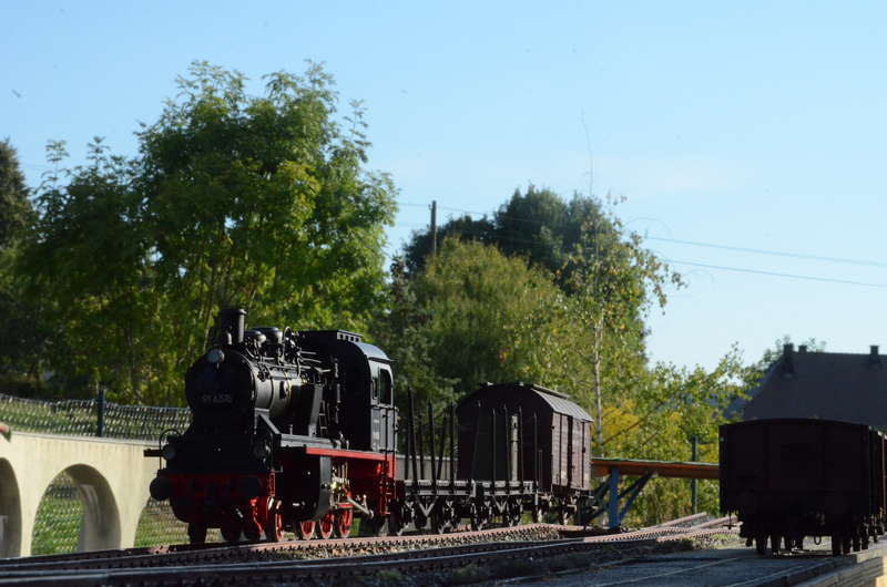 D_12