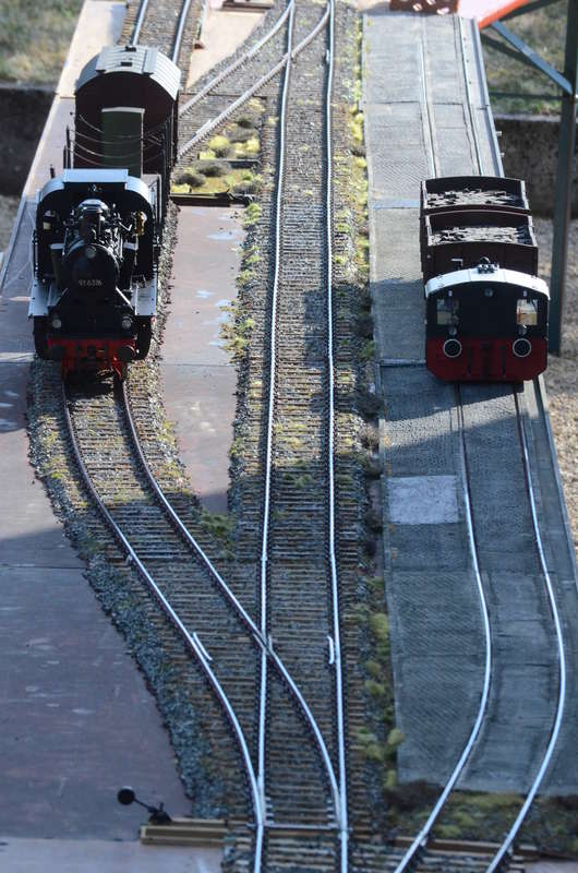D_6