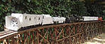 6958DSCF4789vk.jpg