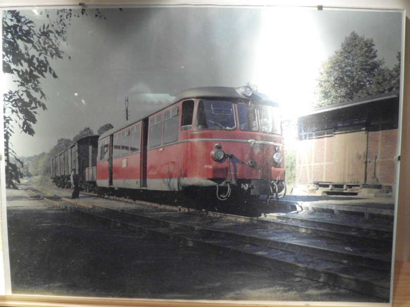 SHE1342