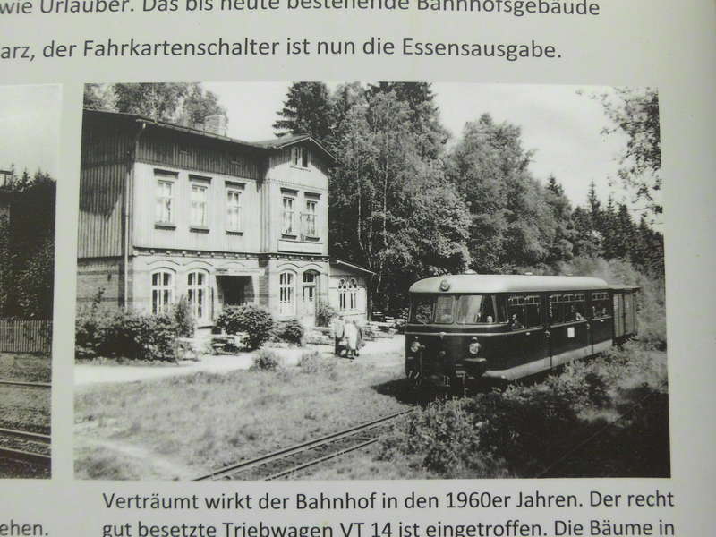 SHE3953