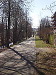 1116SHE4036.JPG