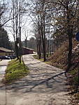 1116SHE4039.JPG