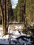 1116SHE4065.JPG