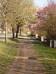1116SHE4178.JPG