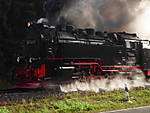 1116SHE4282.JPG