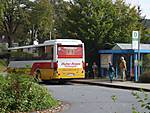 1116she0019.JPG