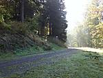 1116she0603.JPG