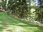 1116she0657.JPG