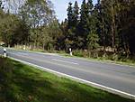 1116she0668.JPG