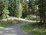 1116she0671.JPG