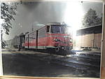 1116she1342.JPG