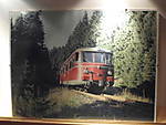 1116she1343.JPG