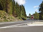 1116she1818.JPG