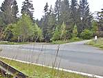 1116she2014.JPG