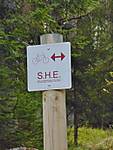 1116she2063.JPG
