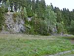 1116she2117.JPG