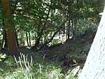1116she2545.JPG