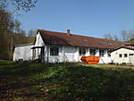 1116she2990.JPG