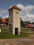 1116she3631.JPG