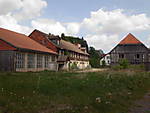 1116she3634.JPG