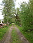 1116she3644.JPG
