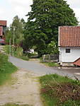1116she3658.JPG