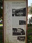 1116she3851.JPG