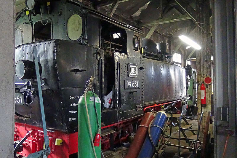 2017_0819_chsle_99_651_Lschp_Ochsenhausen