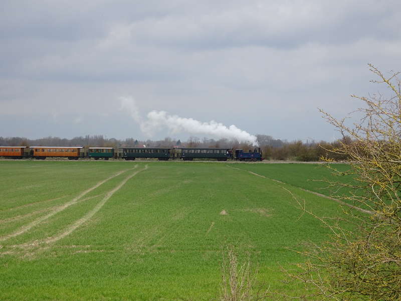 DSC02485