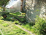 567DSCF3687_klein.JPG