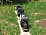 567DSCF3748_klein.JPG