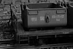 1116NWESKW215sw.JPG