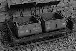 1116NWESKW231sw.JPG