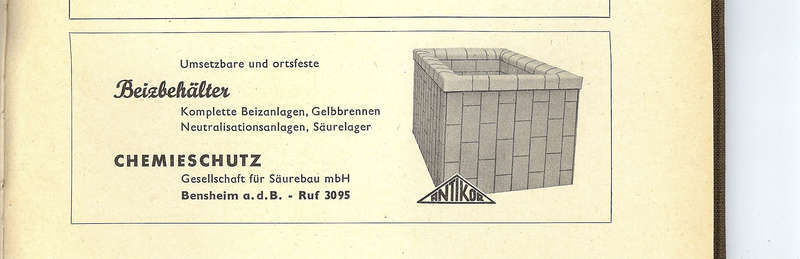 Vogel_1