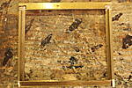 SHESW0139.JPG