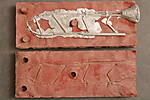 SHESW0219.JPG