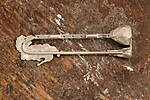 SHESW0356.JPG