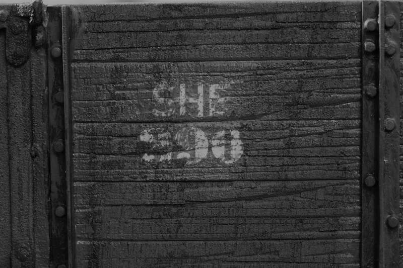 SHEOw290199