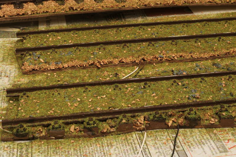 HpK0796