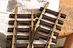 HpK0069.JPG